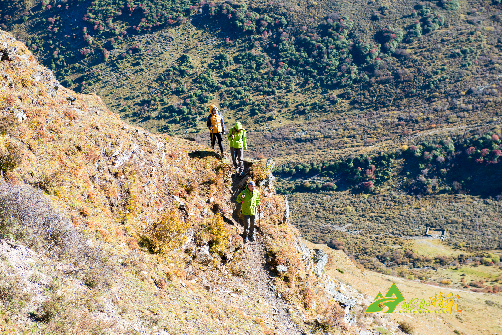 独行侠的表 独行侠的表