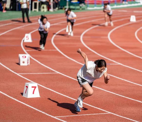 郑钦文不仅 郑钦文不仅