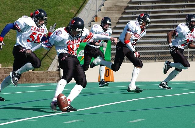 场馆再利用 场馆再利用