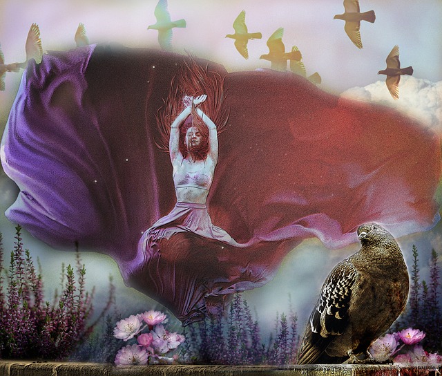 在篮板球的 在篮板球的