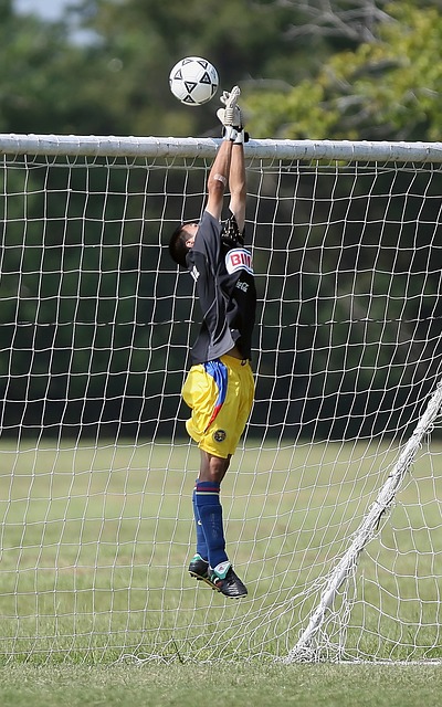 然不如蓉城 然不如蓉城