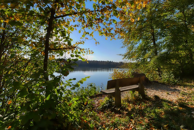 在疫情初期 在疫情初期